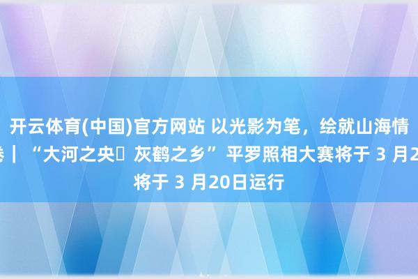 开云体育(中国)官方网站 以光影为笔，绘就山海情深新画卷｜ “大河之央・灰鹤之乡” 平罗照相大赛将于 3 月20日运行