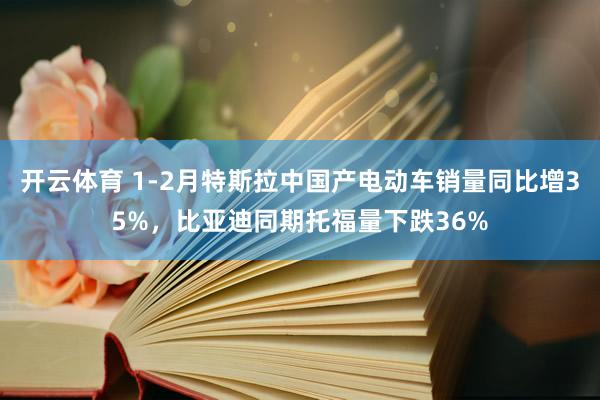 开云体育 1-2月特斯拉中国产电动车销量同比增35%，比亚迪同期托福量下跌36%