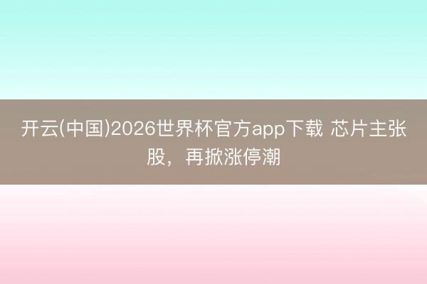 开云(中国)2026世界杯官方app下载 芯片主张股，再掀涨停潮