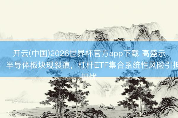 开云(中国)2026世界杯官方app下载 高盛示警：半导体板块现裂痕，杠杆ETF集合系统性风险引担忧