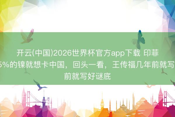 开云(中国)2026世界杯官方app下载 印菲凑了75%的镍就想卡中国，回头一看，王传福几年前就写好谜底