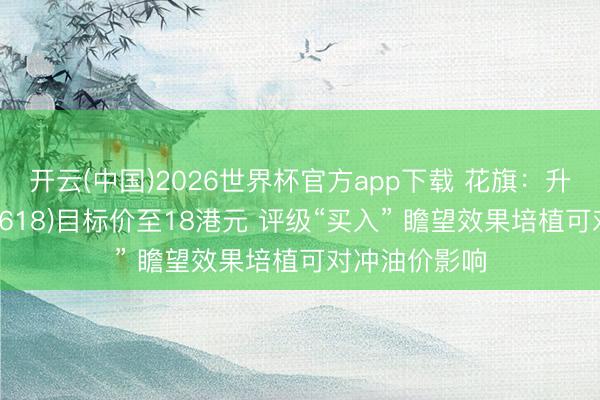 开云(中国)2026世界杯官方app下载 花旗：升京东物流(02618)目标价至18港元 评级“买入” 瞻望效果培植可对冲油价影响
