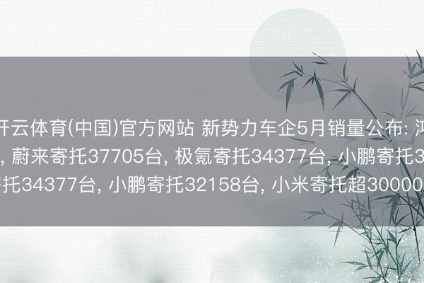 开云体育(中国)官方网站 新势力车企5月销量公布