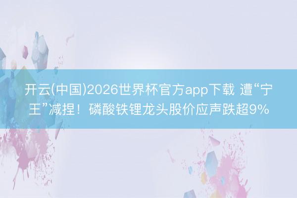 开云(中国)2026世界杯官方app下载 遭“宁王”减捏！磷酸铁锂龙头股价应声跌超9%