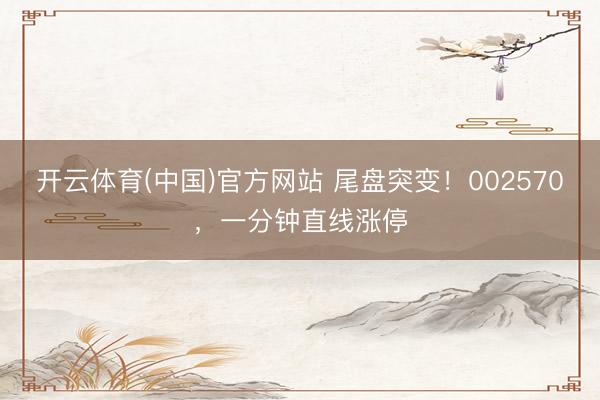 开云体育(中国)官方网站 尾盘突变！002570，一分钟直线涨停
