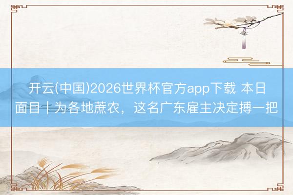 开云(中国)2026世界杯官方app下载 本日面目｜为各地蔗农，这名广东雇主决定搏一把