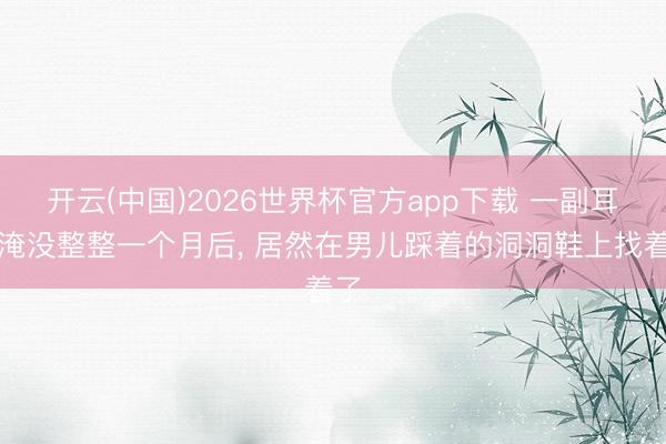 开云(中国)2026世界杯官方app下载 一副耳机淹没整整一个月后， 居然在男儿踩着的洞洞鞋上找着了